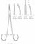 Hemostatic Forceps, HALSTED