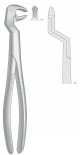 Lower Molars and Wisdom Teeths - right, ROUTURIER 22 1/2 R