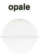 ZR ArtOral Transparente 15g - Opale  